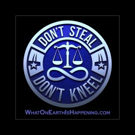 Don't Steal Don't Kneel Sticker - V1